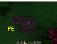 nether wart pe.png
