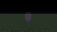 Minecraft bug.png