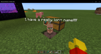 MCPE-14102 Named Entity Example 0.16.2.png