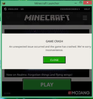 game crash.jpg