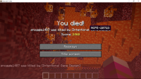 LOL, your bug report was referenced in Minecraft Java.png