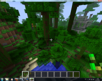 Minecraft Bug2.png