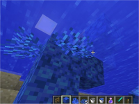 floating coral 2.jpg