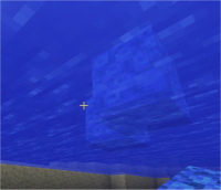 floating coral 4.jpg