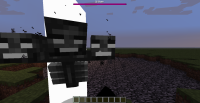 Wither hitbox-collision box.png