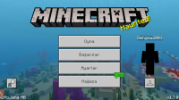 Screenshot_20181021-194149_Minecraft.jpg