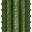 cactus_side.png