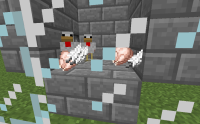 Chickens in Stone.jpg