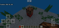 Screenshot_20190529-120117_Minecraft.jpg