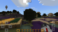 Screenshot_20190625-001941_Minecraft.jpg