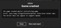 Game Crash.PNG