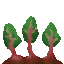 beetroots_stage_3.png