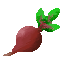 beetroot.png