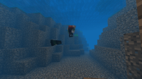 Minecraft bug swim.png