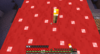 minecraft visual bug.gif