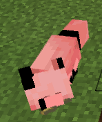 pigfox.png