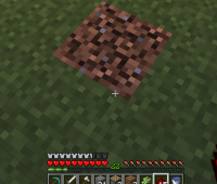 minecraft bug.png