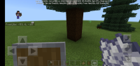 Screenshot_20200316-173601_Minecraft.jpg