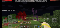 Screenshot_20200417-114427_Minecraft.jpg