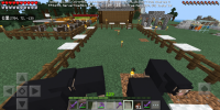 Screenshot_20200420_105513_com.mojang.minecraftpe.jpg