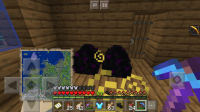 Screenshot_20200421-205740_Minecraft.jpg