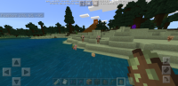 Screenshot_20200503-155246_Minecraft.jpg