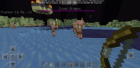 Screenshot_20200503-155058_Minecraft.jpg