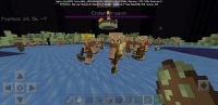 Screenshot_20200503-155049_Minecraft.jpg