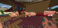 Screenshot_20200503-160223_Minecraft.jpg