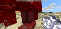 Screenshot_20200503-190042_Minecraft.jpg