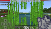 Screenshot_20200504-125446_Minecraft.jpg