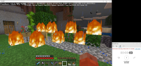 Minecraft Fire Bug.jpg