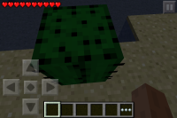 CACTUS 1.png