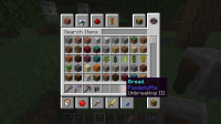 minecraft bug 5.png
