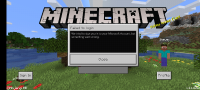 Screenshot_20200520-122600_Minecraft.jpg