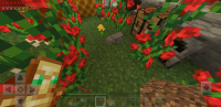 Screenshot_20200525-165919_Minecraft.jpg
