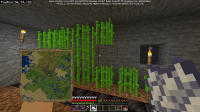 Minecraft 29_5_2020 7_07_25 μμ.png