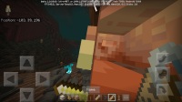 Screenshot_20200604-192842_Minecraft.jpg