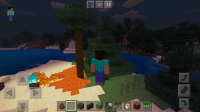 equipped elytra with pan cape.jpg