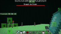 Screenshot_20200528-125253_Minecraft.jpg
