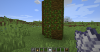 3 -  the tree finally grew with the vines removed.png