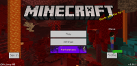 Screenshot_20200706-111738_Minecraft.jpg