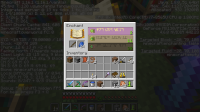 Minecraft 1.16.1 - Singleplayer 7_24_2020 3_19_19 PM (1).png
