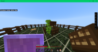 Minecraft 12-08-2020 PM 09_52_27.png