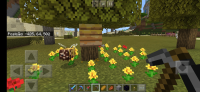 Screenshot_20200813-204602_Minecraft.jpg