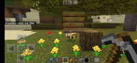 Screenshot_20200813-204547_Minecraft.jpg