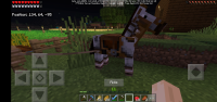Screenshot_20200818-115135_Minecraft.jpg