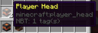 player_head_bug_NBT_data_loss_2-Picked_and_Dropped_from_placed_head.PNG