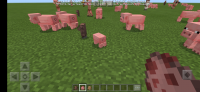 Screenshot_20200919-124228_Minecraft-1.jpg