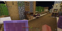 Minecraft Bedrock Villager Sleeping 9_25_2020 3_35_49 AM.png